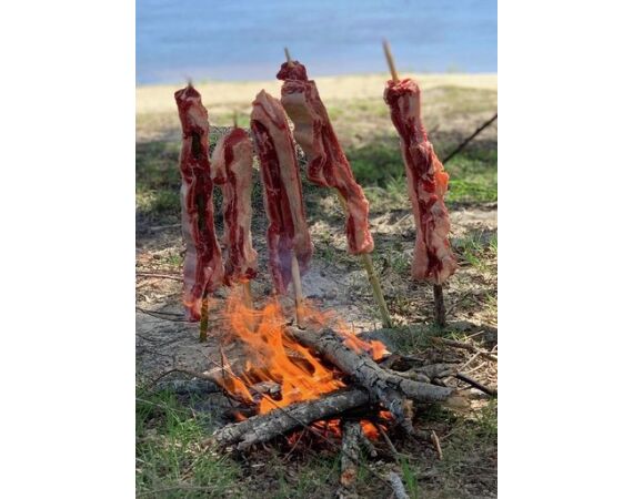 Argentina, Golden Dorado okt 2026