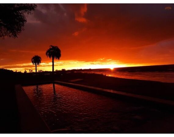 Argentina, Golden Dorado okt 2026