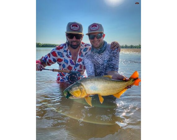 Argentina, Golden Dorado okt 2026