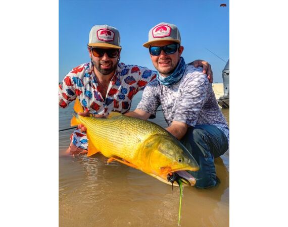 Argentina, Golden Dorado okt 2026