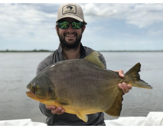 Argentina, Golden Dorado okt 2026