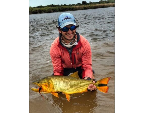 Argentina, Golden Dorado okt 2026