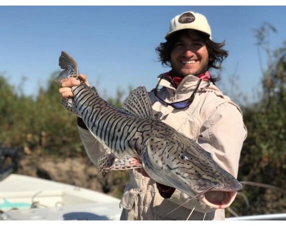 Argentina, Golden Dorado okt 2026