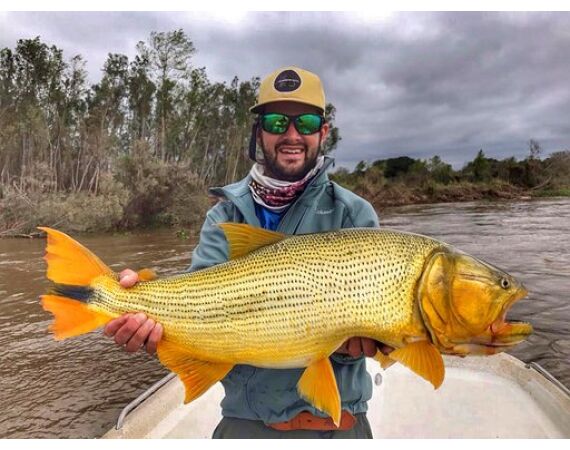 Argentina, Golden Dorado okt 2026