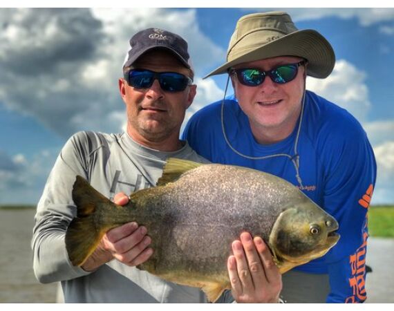 Argentina, Golden Dorado okt 2026