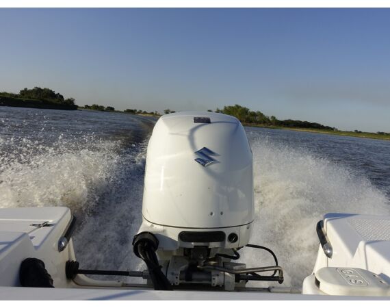 Argentina, Golden Dorado okt 2026