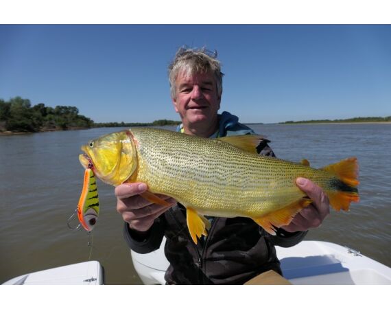 Argentina, Golden Dorado okt 2026