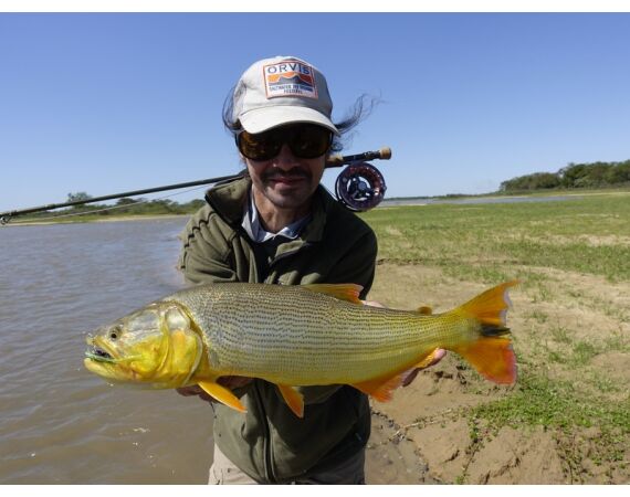 Argentina, Golden Dorado okt 2026
