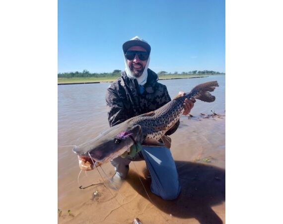 Argentina, Golden Dorado okt 2026