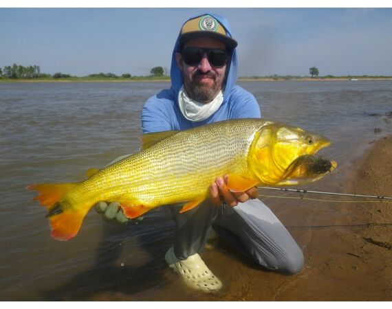 Argentina, Golden Dorado okt 2026