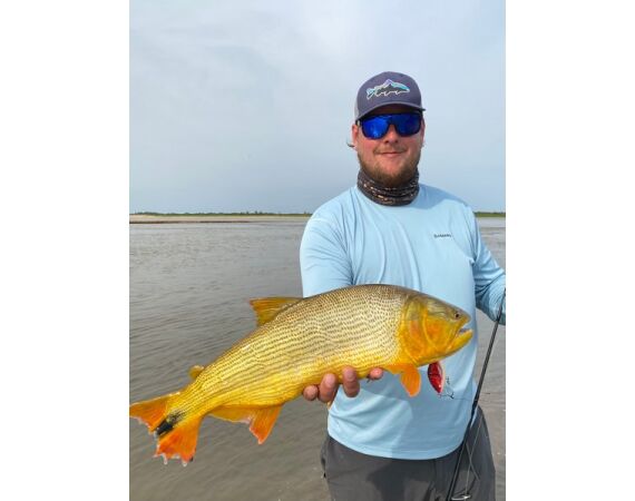 Argentina, Golden Dorado okt 2026