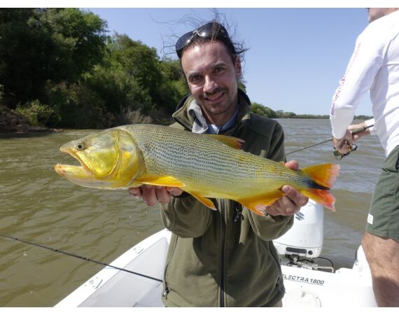 Argentina, Golden Dorado okt 2026