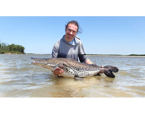 Argentina, Golden Dorado okt 2026