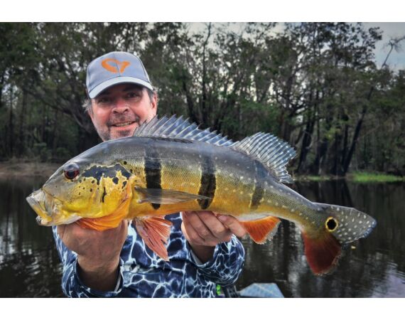 Peacock Bass Houseboat jan 26