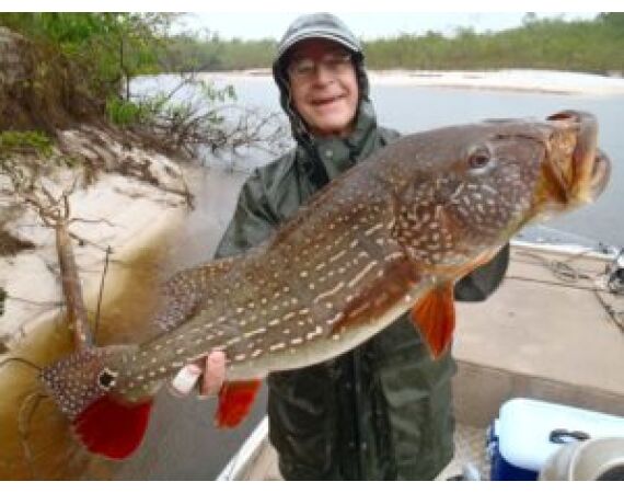Peacock Bass Houseboat jan 26