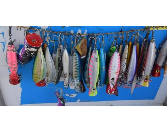 Pop & jig in Andaman feb 26