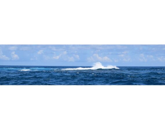 Pop & jig in Andaman feb 26