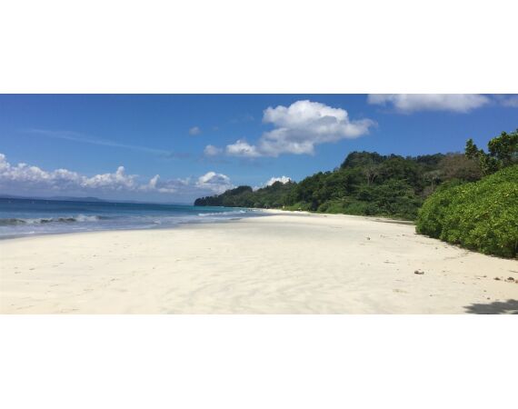 Pop & jig in Andaman feb 26