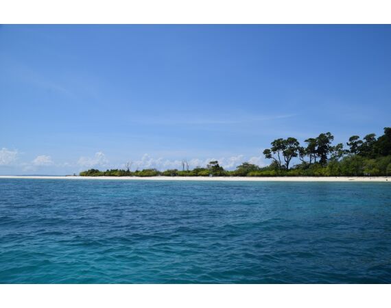 Pop & jig in Andaman feb 26