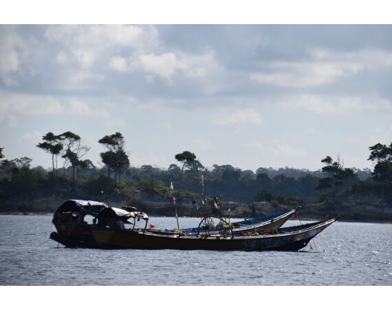 Pop & jig in Andaman feb 26