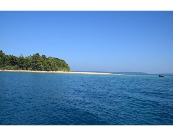 Pop & jig in Andaman feb 26