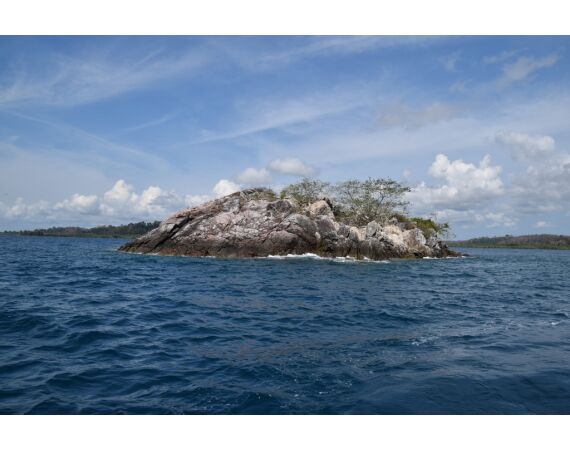 Pop & jig in Andaman feb 26