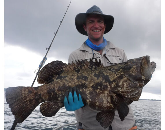 Pop & jig in Andaman feb 26