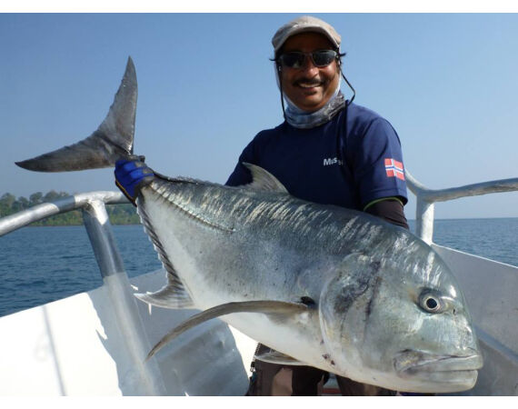 Pop & jig in Andaman feb 26