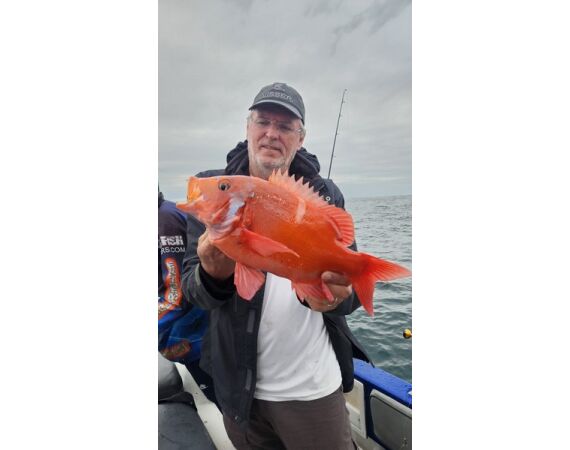 South Africa Mosselbay nov 2026