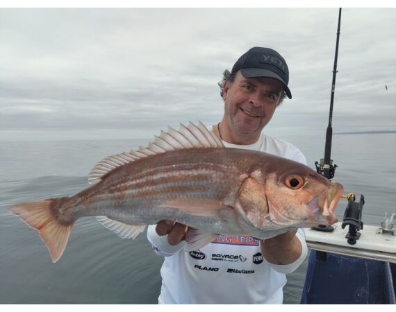 South Africa Mosselbay nov 2026