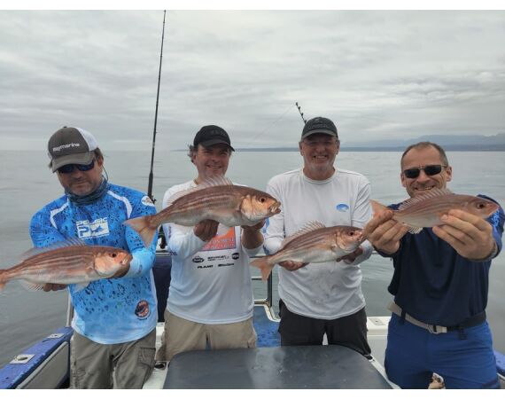 South Africa Mosselbay nov 2026