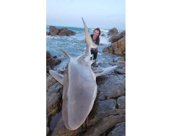 South Africa Mosselbay nov 2026