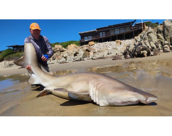 South Africa Mosselbay nov 2026