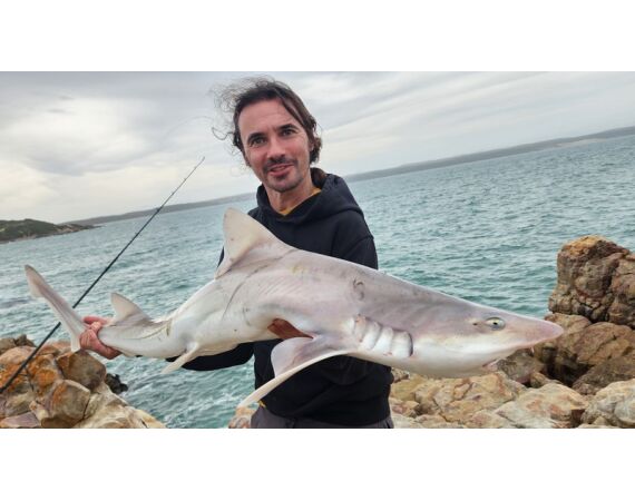 South Africa Mosselbay nov 2026