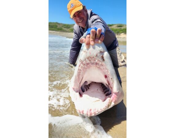 South Africa Mosselbay nov 2026