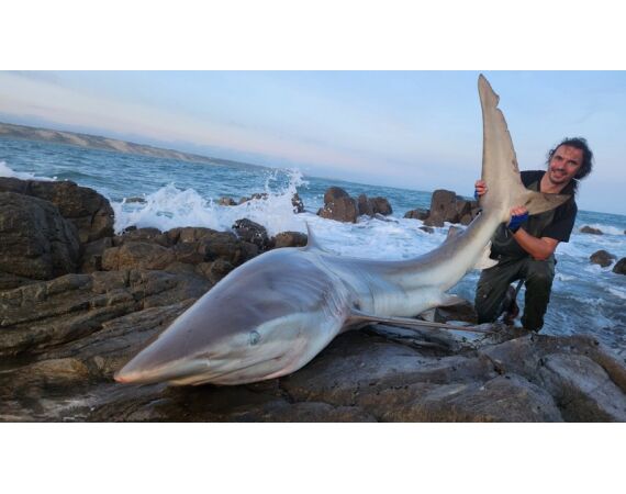 South Africa Mosselbay nov 2026