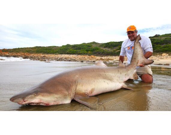 South Africa Mosselbay nov 2026