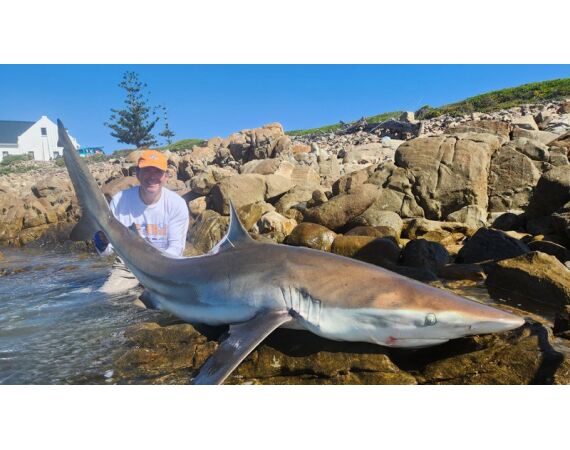 South Africa Mosselbay nov 2026