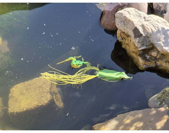 Spanish bellyboat Black Bass