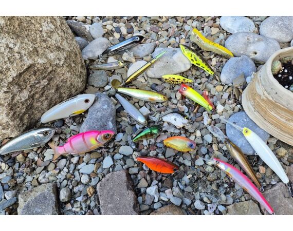 Spanish bellyboat Black Bass