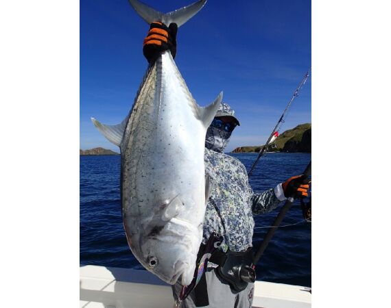 Volkmar goes Madagascar! dec 26