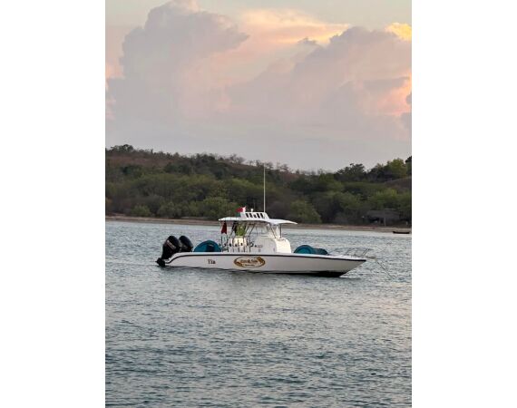 Volkmar goes Madagascar! dec 26