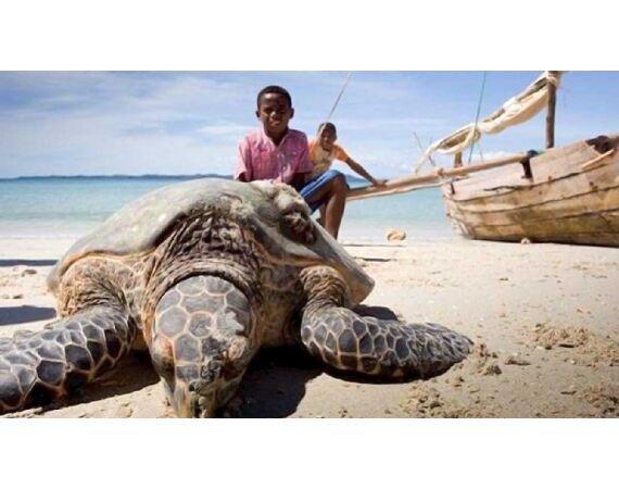 Volkmar goes Madagascar! dec 26