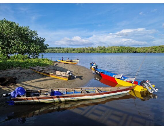 Expedition Papua oct 26