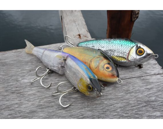 Expedition Papua oct 26