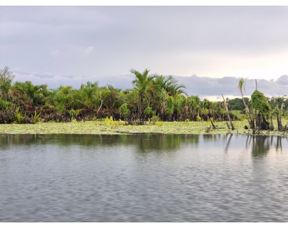 Expedition Papua oct 26