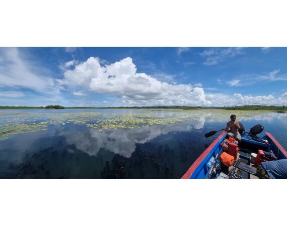 Expedition Papua oct 26