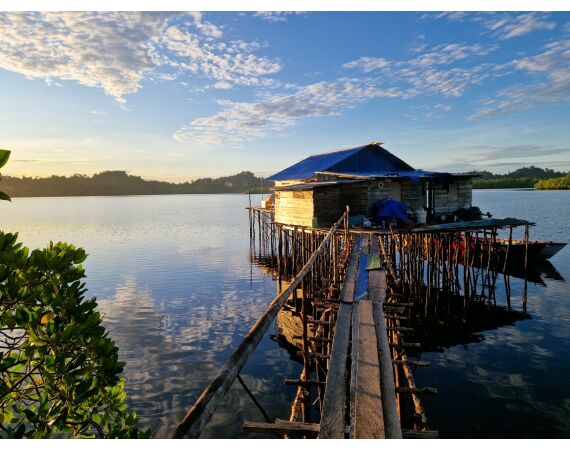 Expedition Papua oct 26