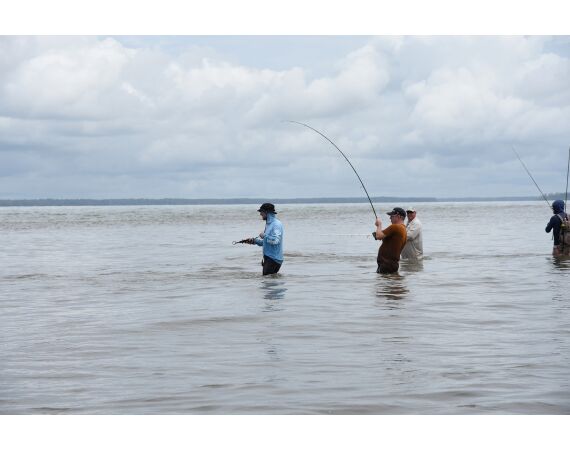 Expedition Papua oct 26