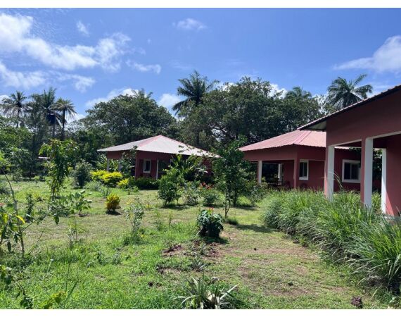 Guinea Bissau group nov 26